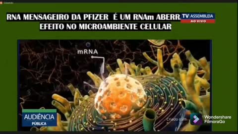 DRA. AKEMI SHIBA SOBRE AS VACINAS E PASSAPORTE SANITÁRIO AUDIÊNCIA PÚBLICA