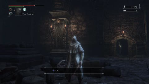 Bloodborne™ Undead Giant Hintertomb DungeonOverpower+