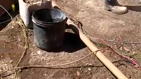 almost catches the house on fire., the birds eat wire