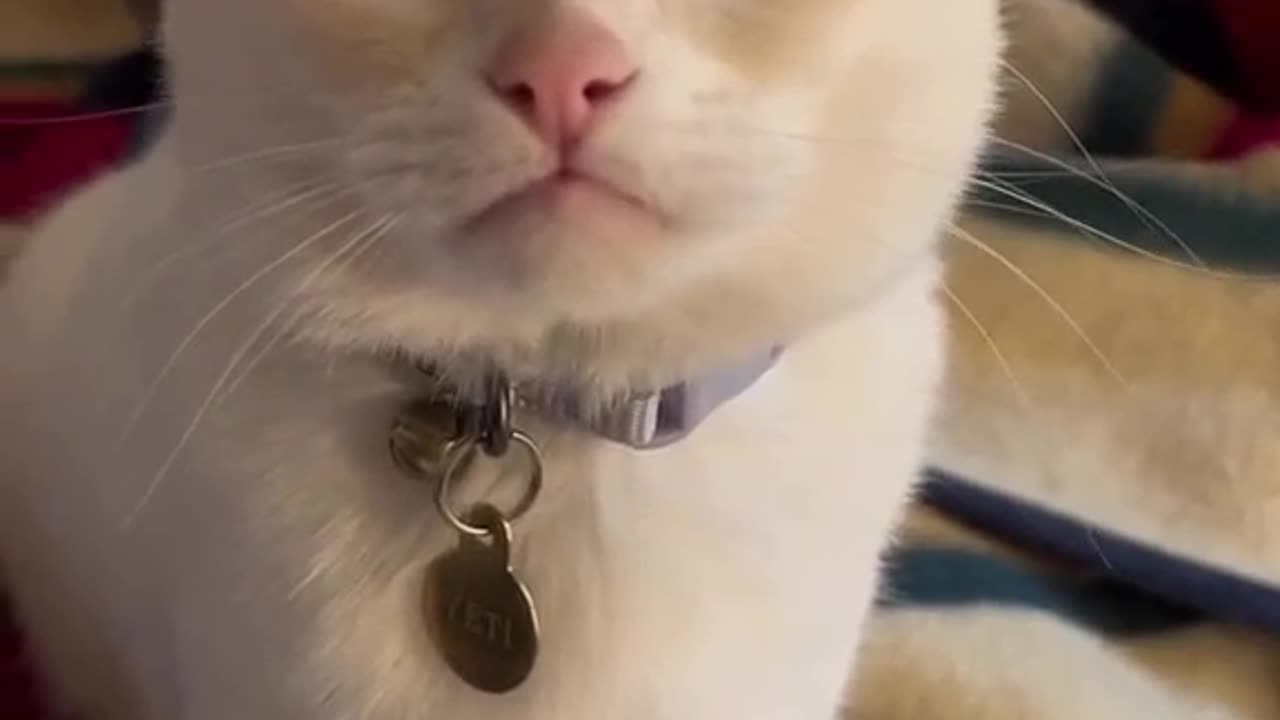 Video no. 131 you get a surprise in one of our videos stay tuned