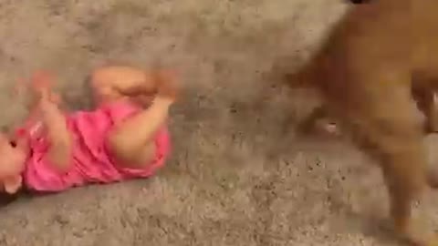 Crianças fofinhas brincando com cachorro😍