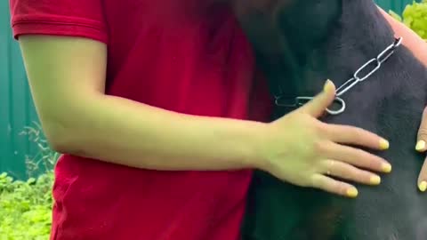 smart dog video ☺😊👍#youtubeshorts #short #dog #tiktok #feedshorts #funny
