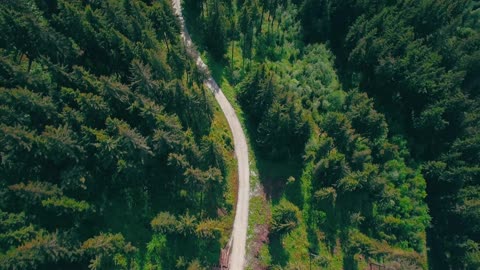The beauty of nature, with the long road from above.