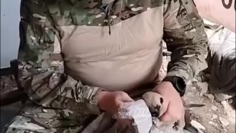 War in ukraine