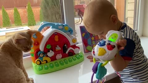 Cute baby kids playing with cat and toys #cutebaby #catvedio #rumbleshorts