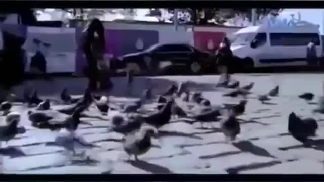 ROBERT B WEIDE COMPILATION PART 14 | PINOY MEMES and PINOY FUNNY VIDEOS 2021