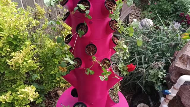 Large DIY 3D Printed Hydroponics tower