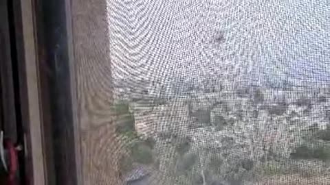 רחם עלי רחם - שיר נ נח