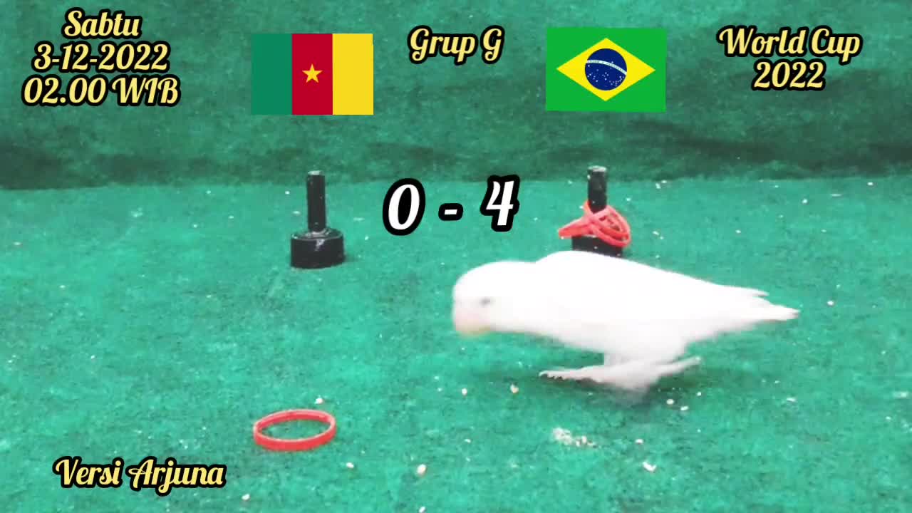 prediction
