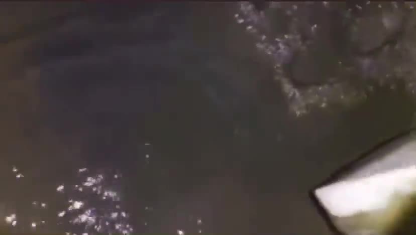 Very Disturbing Video of Children's Bodies found in China