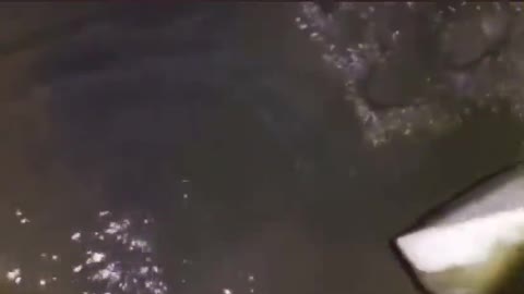 Very Disturbing Video of Children's Bodies found in China