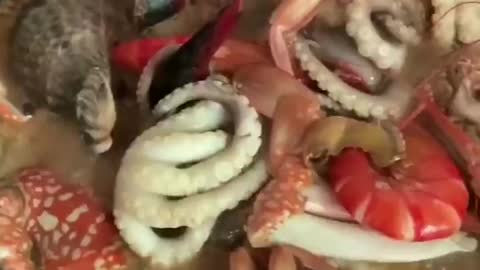 seafood chowder