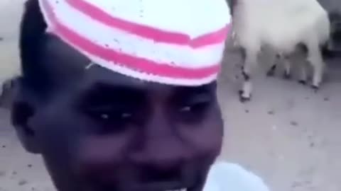 Animals Singing With Owner