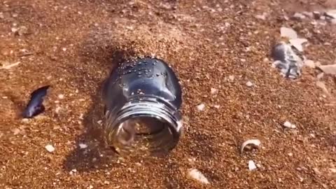 Hóa ra bề bề dễ bẫy quá thể!