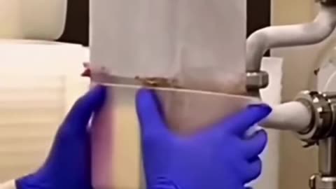 que manera de sacar elado