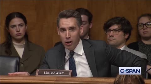 Sen Josh Hawley Takes Down Airline Executives