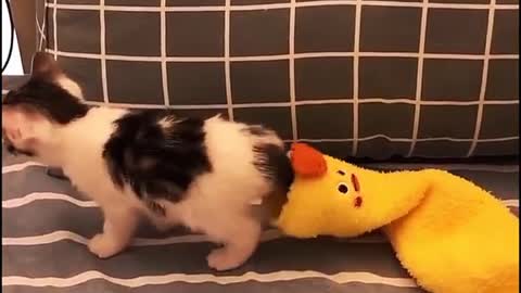 He is so cute!