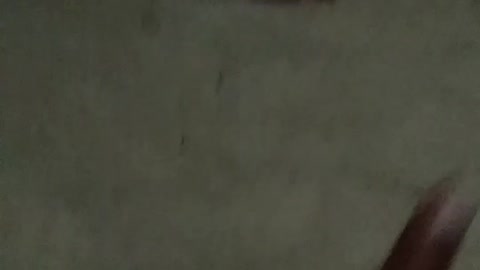 Telekinesis new video today 2022