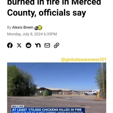 170,000 chickens were burned in the fire at farm in CA.