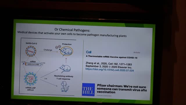 Dr Mikovits - Talk on medical/scientific integrity and the Covd Vaccine