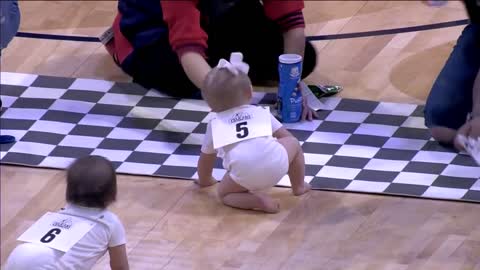 Babies Compete @ 2019 Baby Crawl Race | New Orleans Pelicans