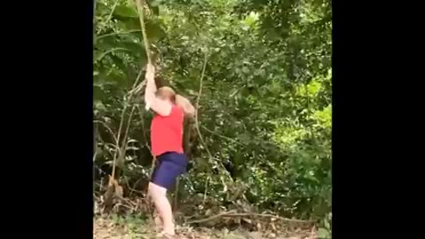 😂Best funny videos complication