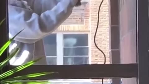 BiG Fails Funny