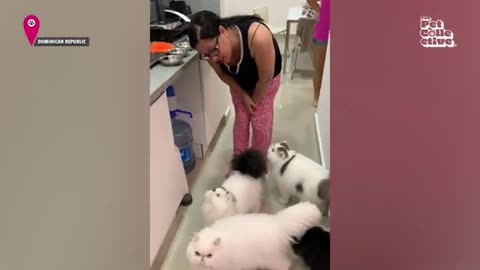Adorable Animals and Human Moments