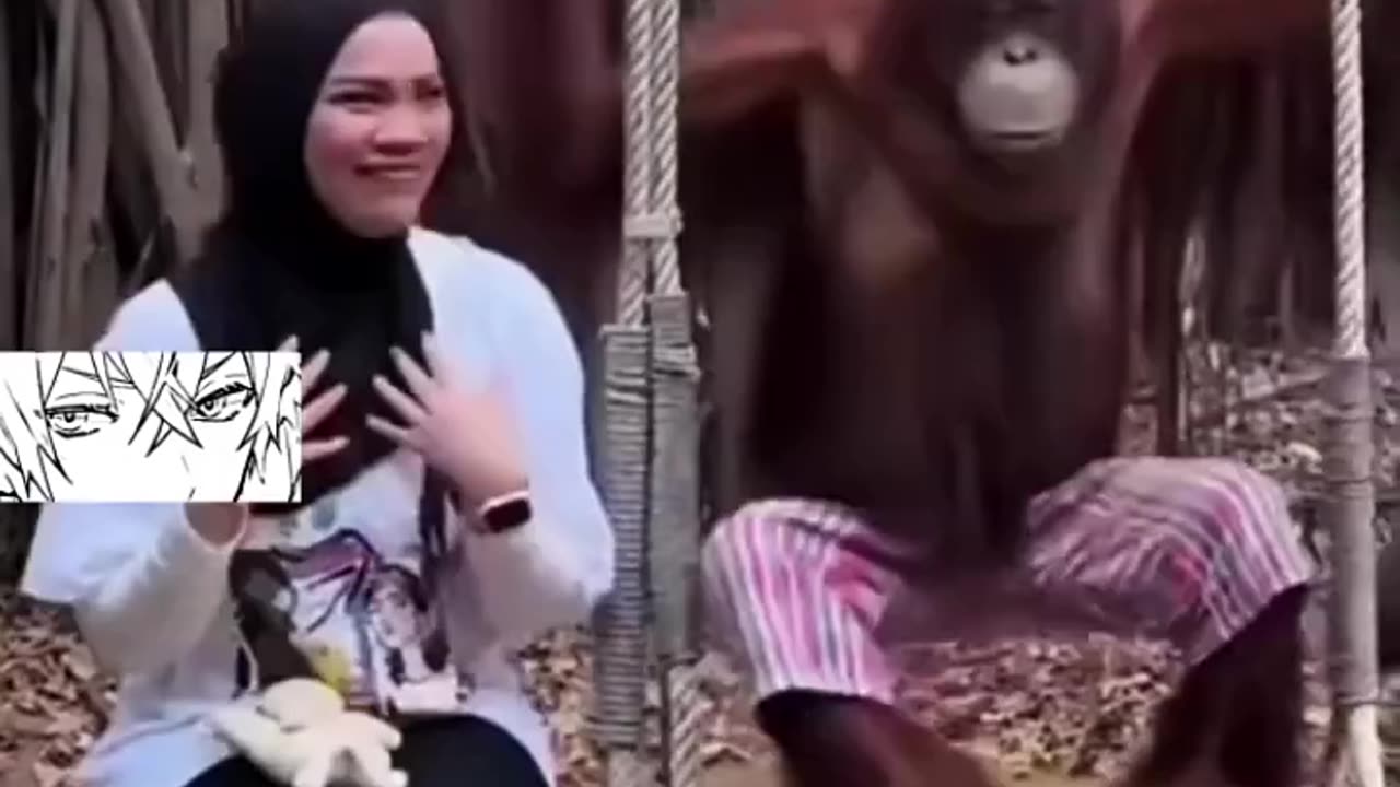 A trained funny Monkey 🐵🤣 #fun #animal #monkey