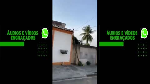 videos engracados do wathsap