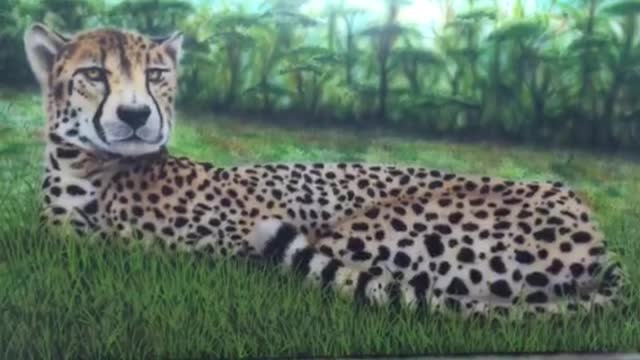 Airbrushed Leopard.