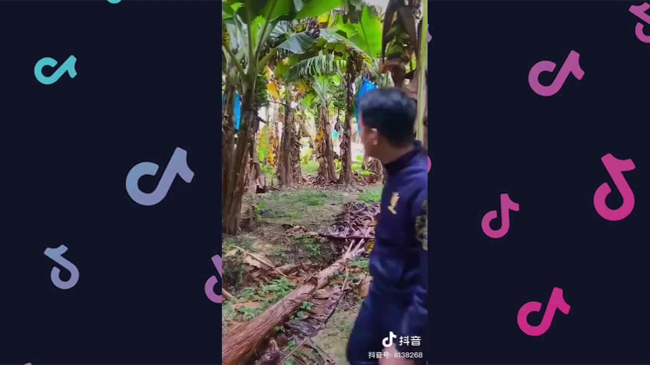 Try Not Lough with china fun