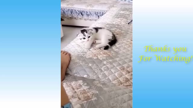 CUTE FUNNY ANIMAL # 3