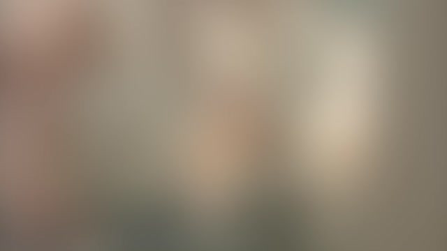 funny cats and dogs try not to laugh (lol) ;)