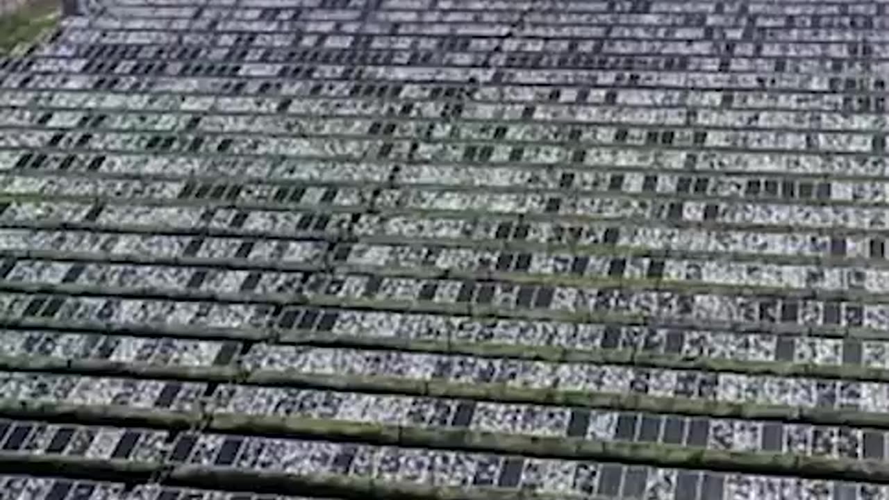 A single hailstorm reduced a multimillion dollar solar park