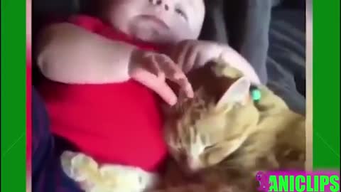 TRY NOT TO LAUGH - Cute Funny Animals Compilation | Funny Vines