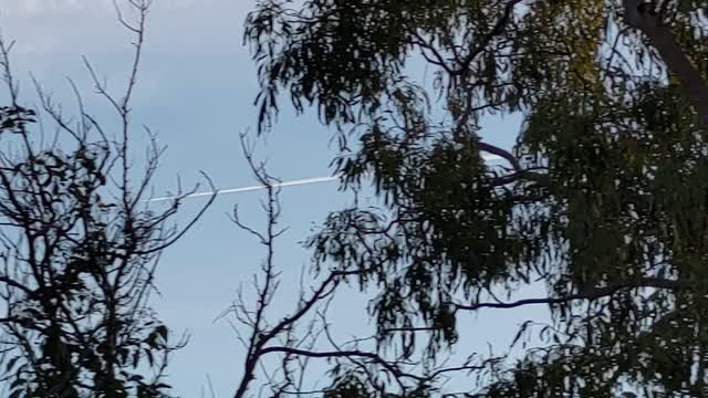 Chemtrail parasites Rockhampton