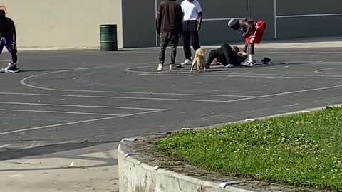 Suspected Robbery in Broad Daylight