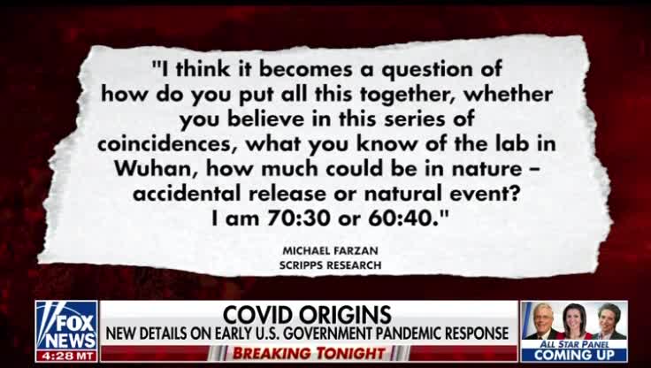 COVID19 TIMELINE 💥