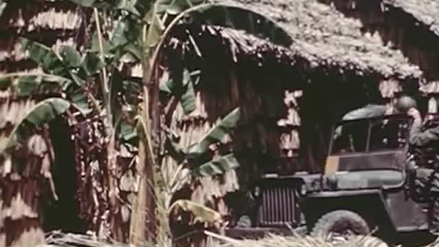 DDT US Navy [1944]