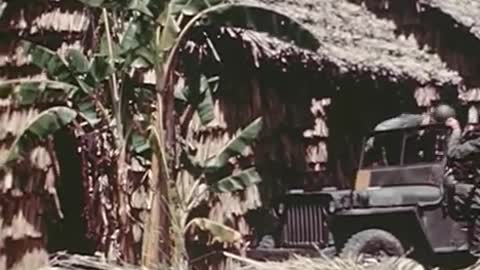 DDT US Navy [1944]