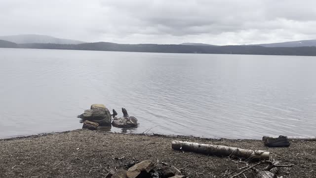 West Shoreline Day Use Area to First Designated Backcountry Camping Spot – Timothy Lake – 4K