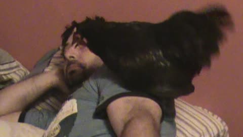 Confused Man Wakes Up With Chicken On His Shoulder