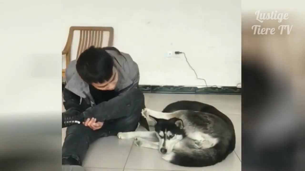 smart and cute animals...Very nice