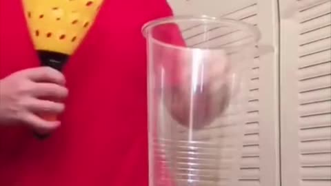 FUNNY VIDEO