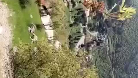 Local food in the nature