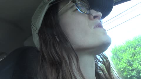 cmon vortex you know my feelings on sheep