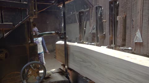 close up process sawing red giant mahogany log | Sawmill Process