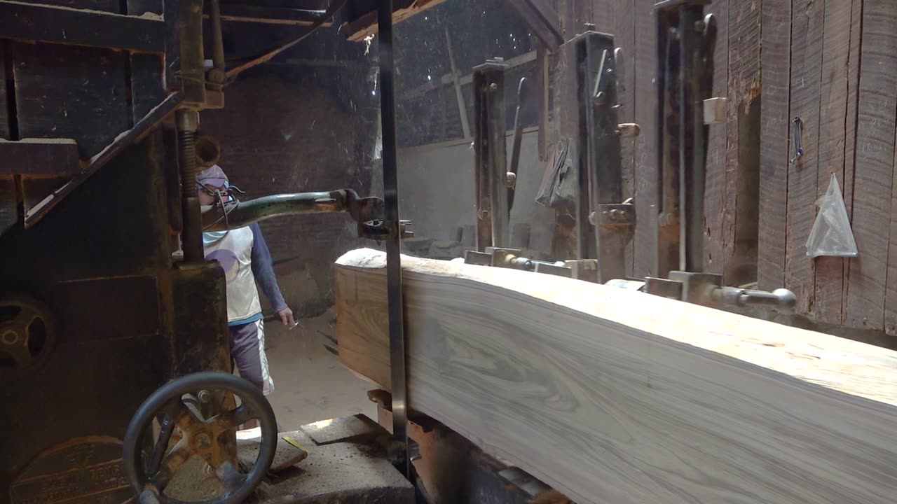 close up process sawing red giant mahogany log | Sawmill Process