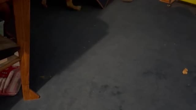 Rolly spinning right round